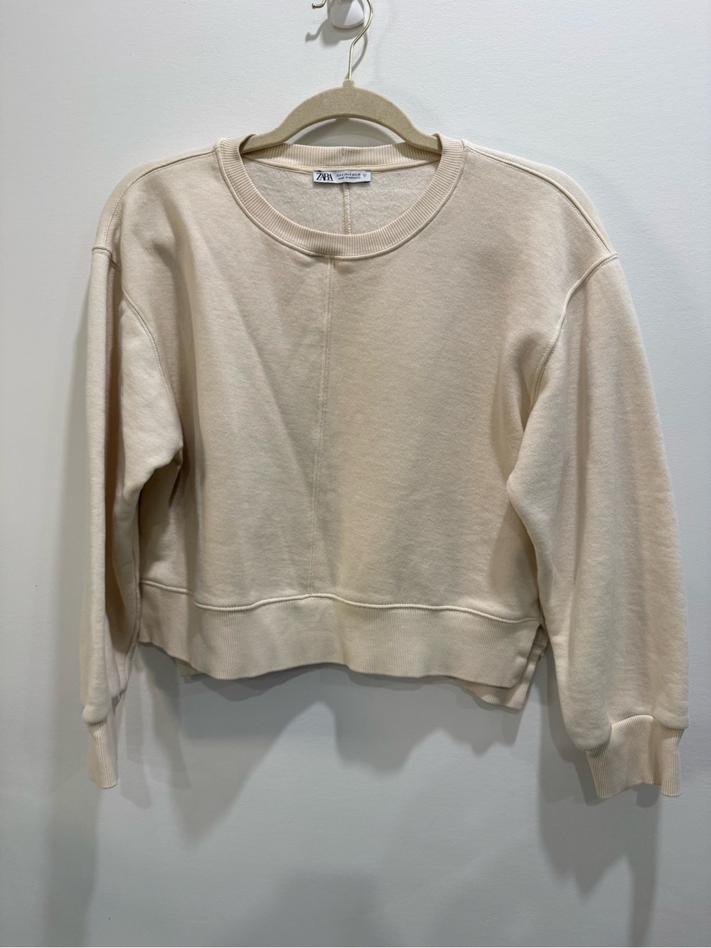 Zara Neutral Crewneck Sweatshirt in Beige